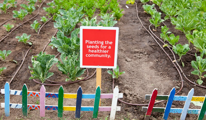 Community garden sign reading "Planting the seeds for a healthier community" where volunteers are participating at a Giving Tuesday event