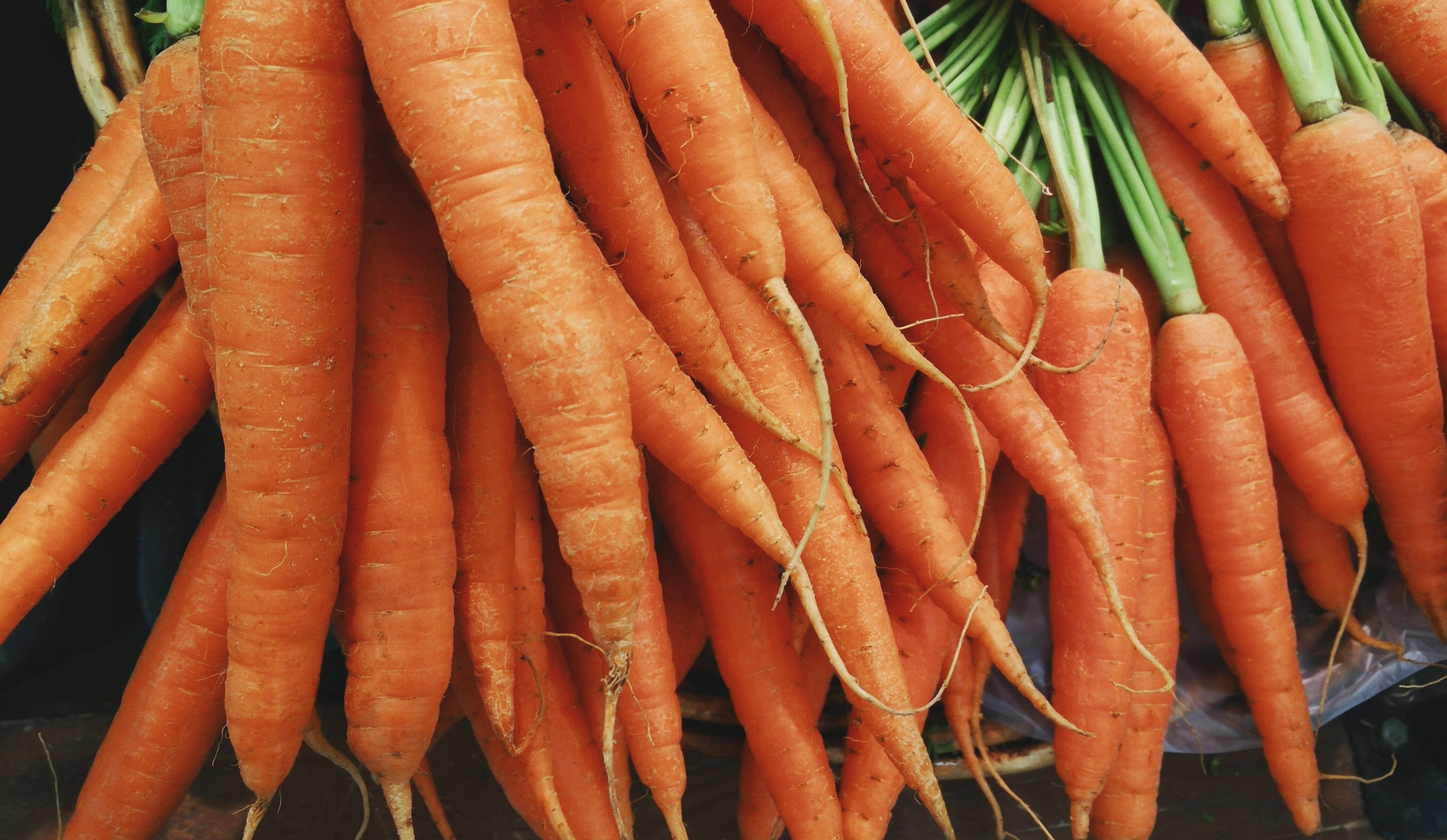 Carrots from a local garden donated to Keep Austin Fed to help fight food insecurity 