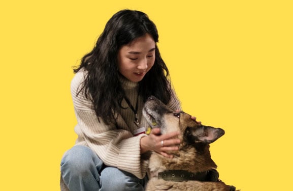 Animal center volunteer with dog on a yellow background